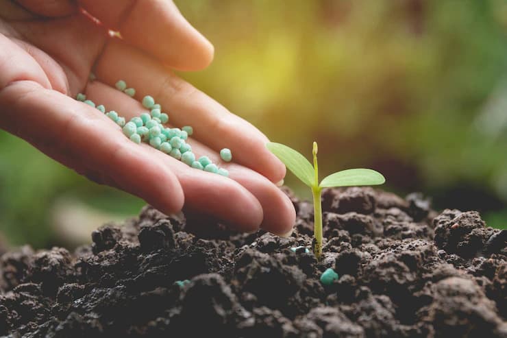 Why are bio-fertilizers preferred over chemical fertilizers?