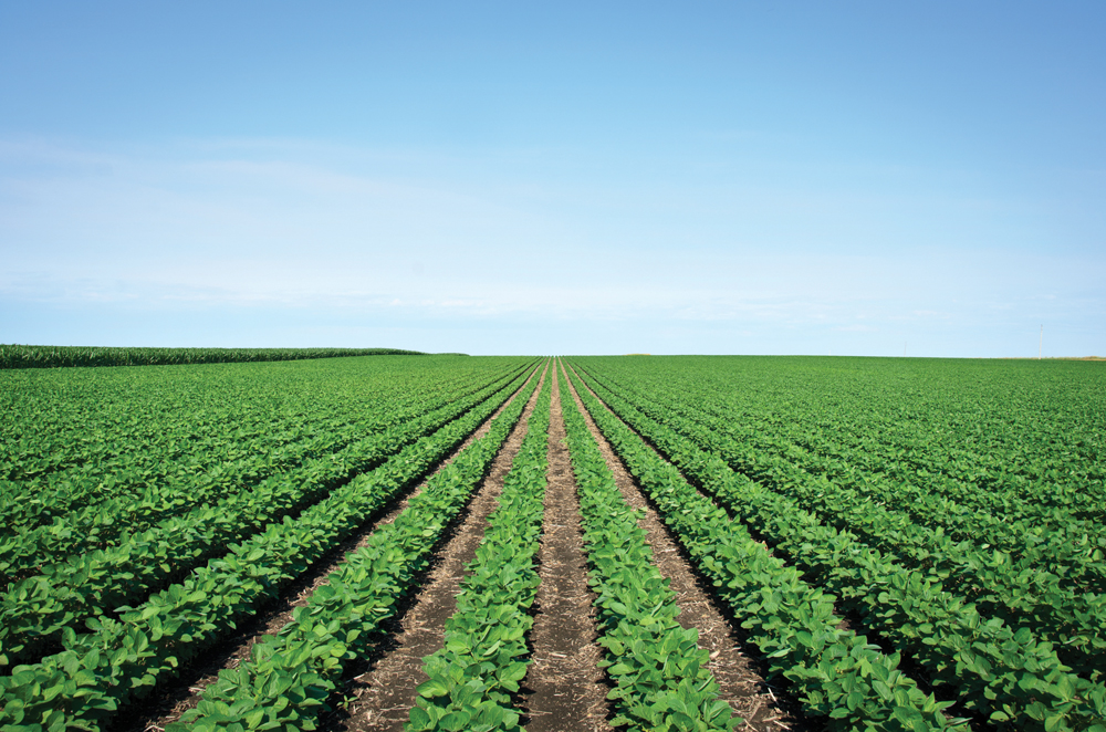 Micronutrients at Planter Time