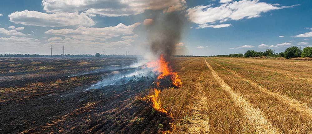 Effects of Agriculture on the Air Quality and Climate